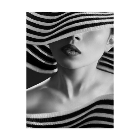 Boris Belokonov 'Zebra Fashion' Canvas Art,18x24